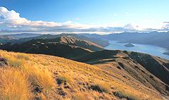 Lake Wanaka