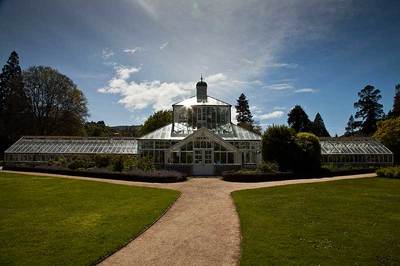 Dunedin Botanic Gardens - Glasshouse